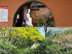 -灵谷景区