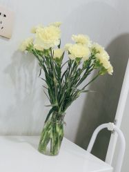 -YESIDO椰岛美容
