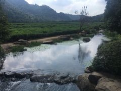 -中国茶叶博物馆(双峰馆区)
