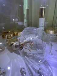 -安吉拉青春化管理中心