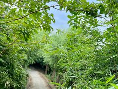 -丝绸小镇荻港古村