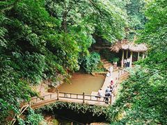 -莫干山风景区