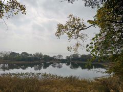 -上海市保健医疗中心