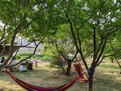 -天津东丽湖风景区