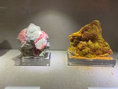 -陕西自然博物馆