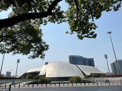 -合肥大剧院