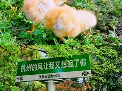 -八卦田遗址公园
