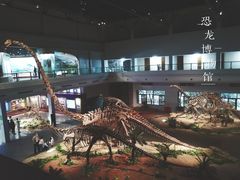 -自贡恐龙博物馆