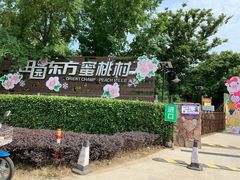 -田园东方蜜桃村的田野营地