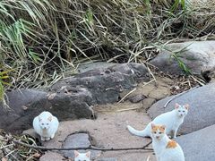 -崂山九水游览区
