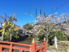 -鹤冈八幡宫