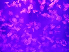 -沈阳海洋探索中心