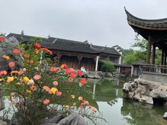 -芥子园