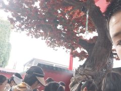 -杭州宋城