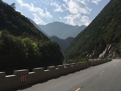 -黑河国家森林公园