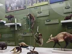 -国家自然博物馆