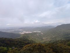 -梧桐山风景名胜区