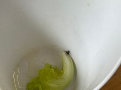 -吉友粥底火锅(方斜路店)