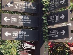 -小洲村