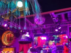 -Famous肥猫墨西哥音乐餐吧(五棵松华熙LIVE店)