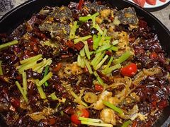 -老板恋上鱼(恒隆广场店)