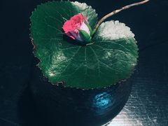-王家渡火锅店(棕榈泉店)