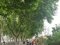 -李公堤