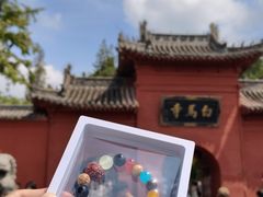 -洛阳白马寺