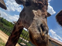 -鄂尔多斯野生动物园