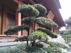 -香积寺