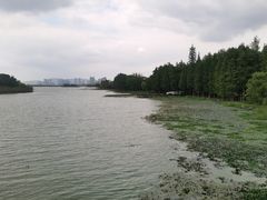 -长广溪湿地公园