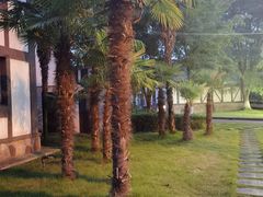 -太阳岛度假酒店