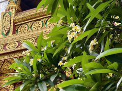 -西双版纳总佛寺