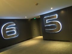 -汉阳天河电影城(王家湾店)