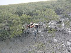 -北海金海湾红树林生态旅游区