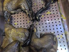 -三锅莊·牦牛肉火锅·香格里拉特色藏餐宴请餐厅(昆明创始店)