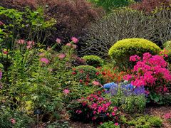 -深圳仙湖植物园-停车场