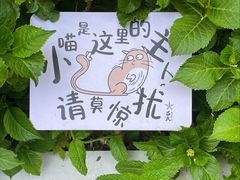 -吕氏焗小鲜•海鲜青岛菜(八大关店)