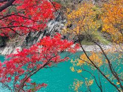 -叠溪松坪沟景区