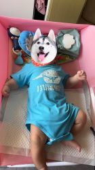 -小蓝象(五角场万达店)