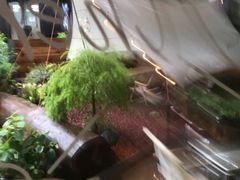 -鹿萤季·营地小馆(皇后公园店)