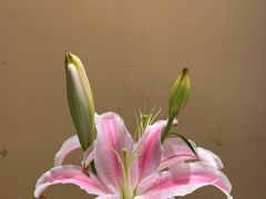 -山海菜馆·海肠捞饭·青岛菜(栈桥店)