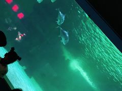 -常州海昌海洋探索馆
