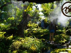 -Chom Cafe and Restaurant