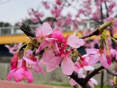 -艾溪湖湿地公园