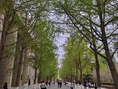 -北京化工大学(东校区)