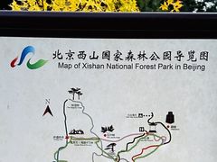 -北京西山国家森林公园