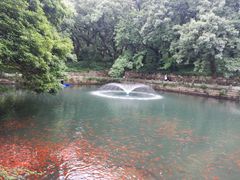 -普陀山风景名胜区-法雨禅寺