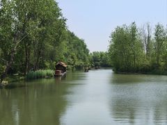 -溱湖国家湿地公园