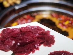 -小王少龙火锅(沙南街店)